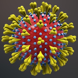 Vergrote afbeelding van het coronavirus.