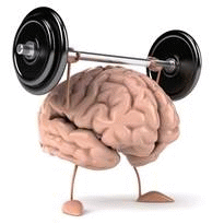 Het brein trainen